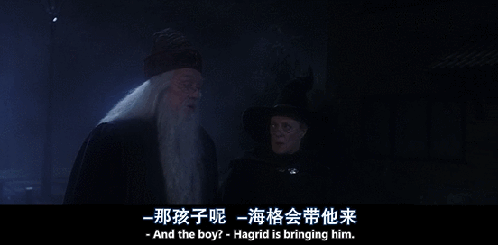 深度剖析麦格教授