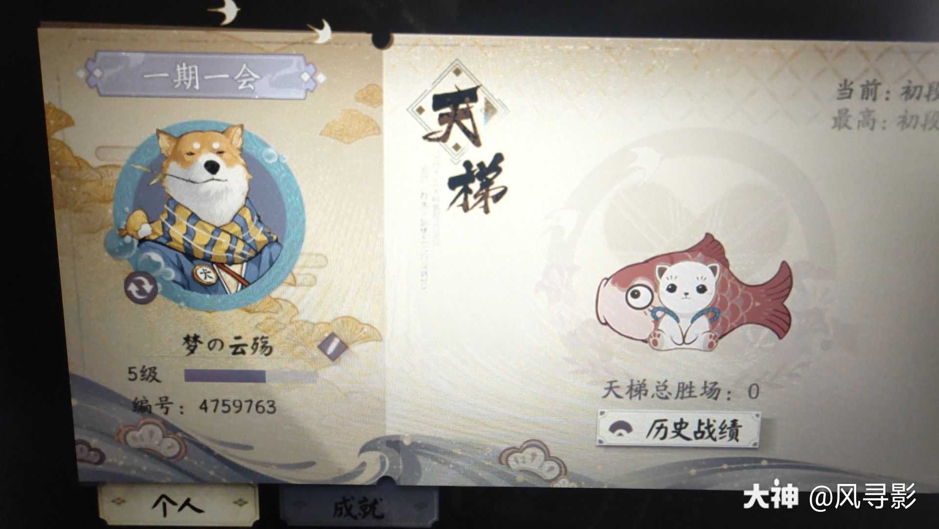 百闻21天flag挑战萌新求加_大神