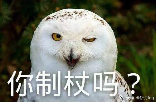 不想说话了#哈利波特魔法觉醒##拉文克劳后援会##哈利波特的魔法#03