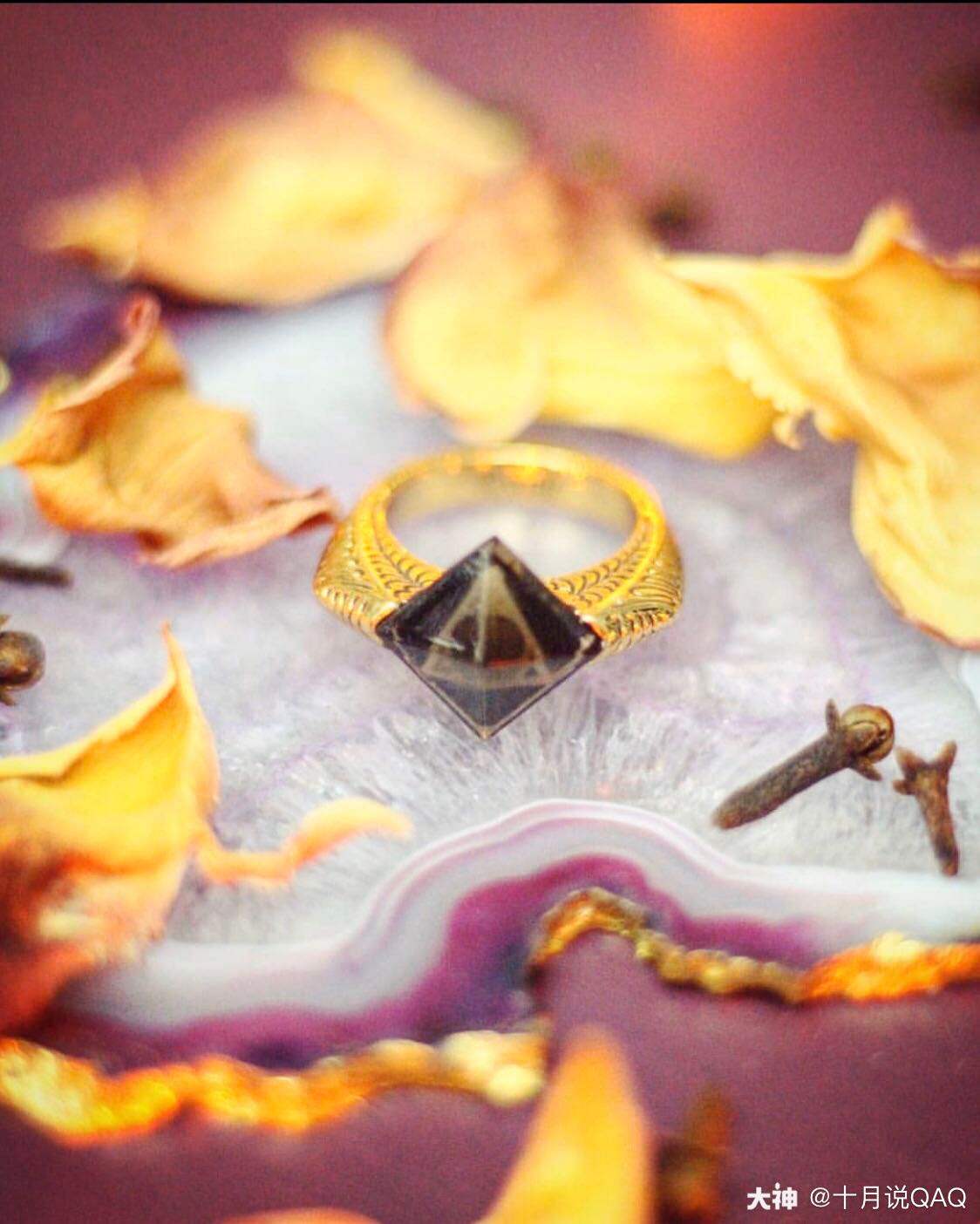 魂器的秘密"第三讲—马沃罗·冈特的戒指marvolo gau_哈利波特魔法