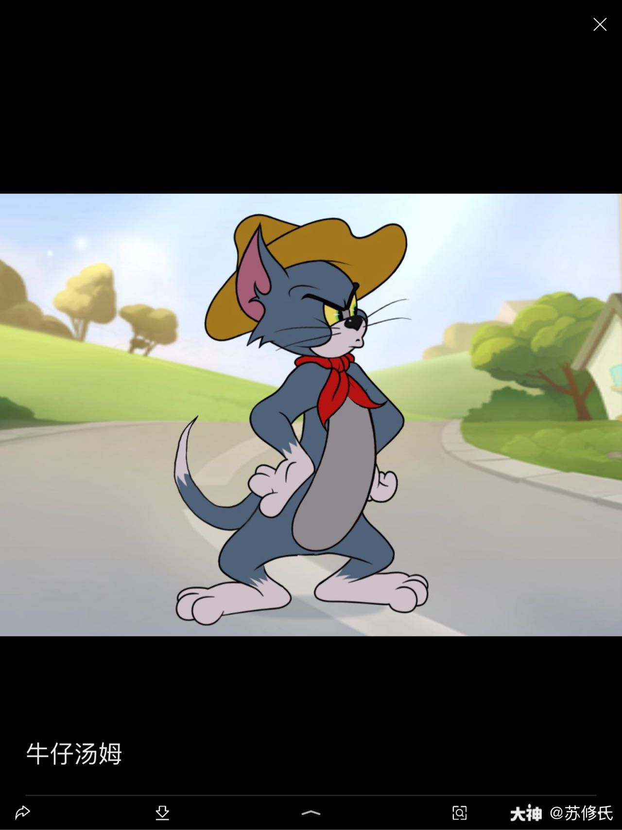 童年回忆:牛仔汤姆.是不是很像呢?