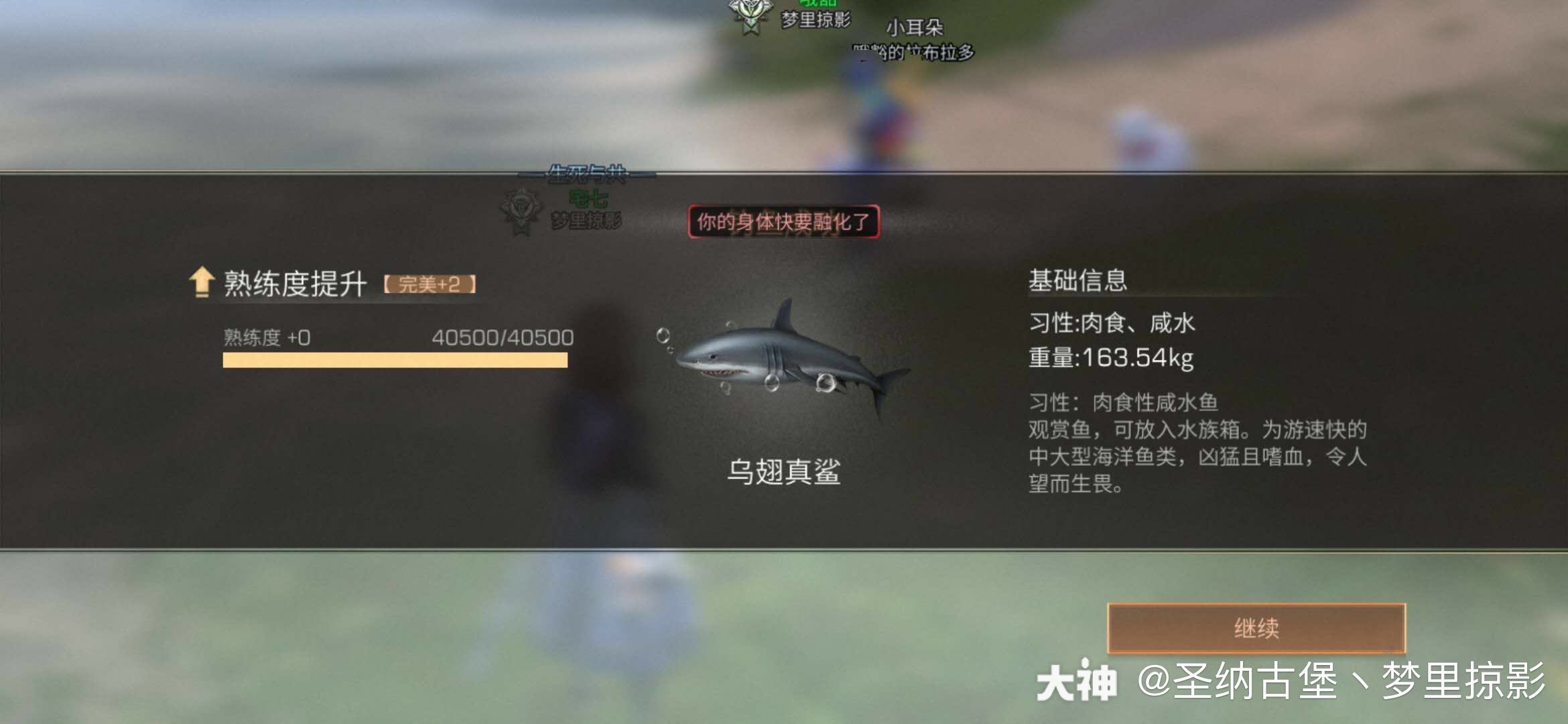 乌翅真鲨 营地小哥4发鱼饵钓上鲨鱼啦 大神