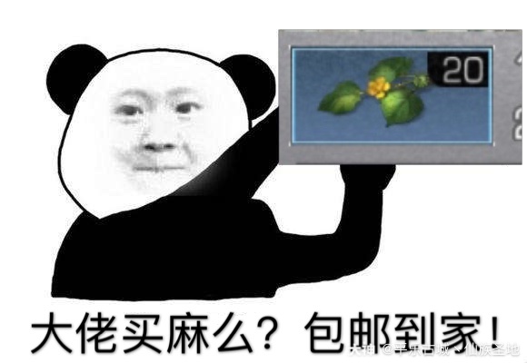 【明日之后职业专属表情皞5】