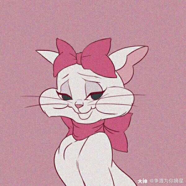 猫和老鼠