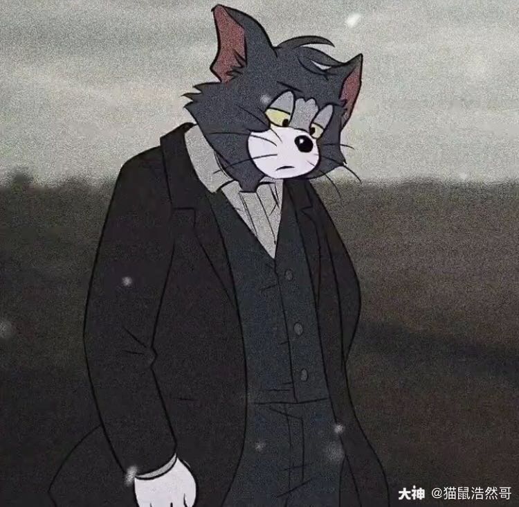 优质头像(一)_猫和老鼠 | 大神