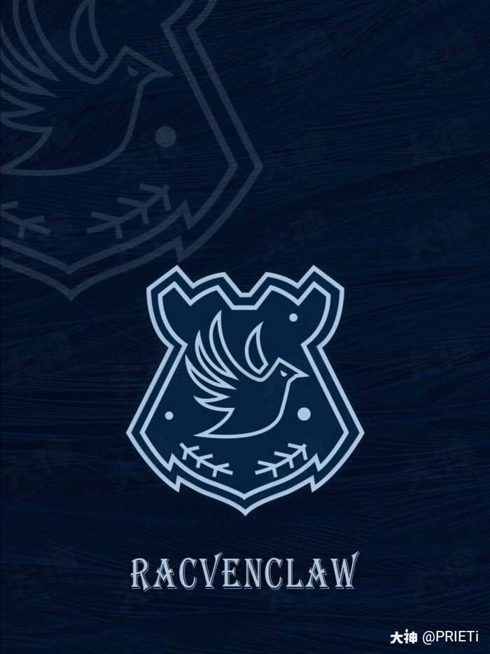 雪鸮架子鼓,摄影07兴趣爱好:因为拉文克劳的蓝色,以及聪明的标志