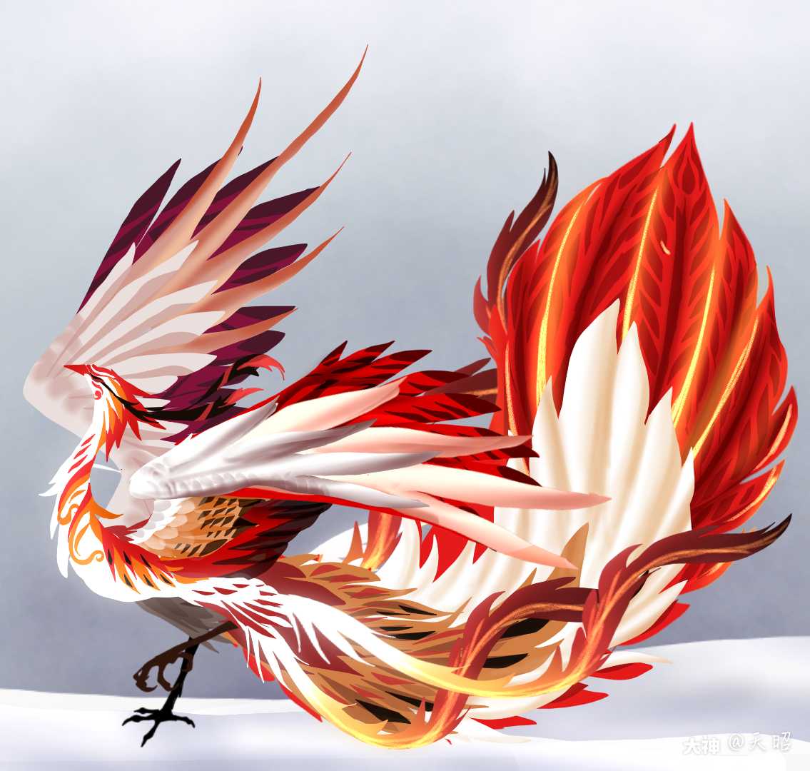 放飞自我x孔雀in白藏主-枫雪留鸿黑豹in孔雀-驺之彩风白藏主in神龙-神