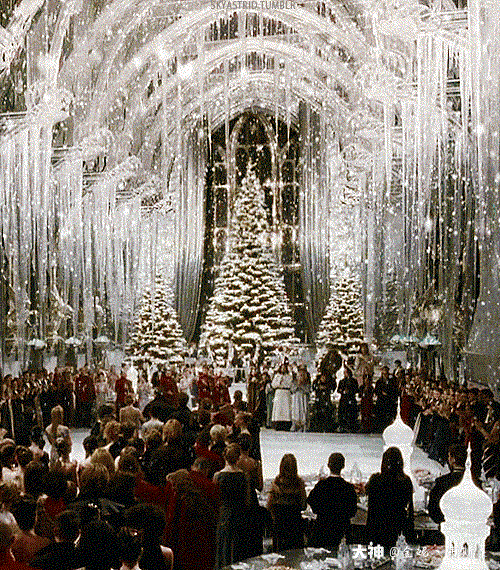 【霍格沃茨圣诞舞会】