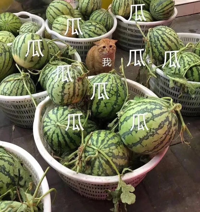 2021年都是瓜田里的猹有今天塌房子的吗