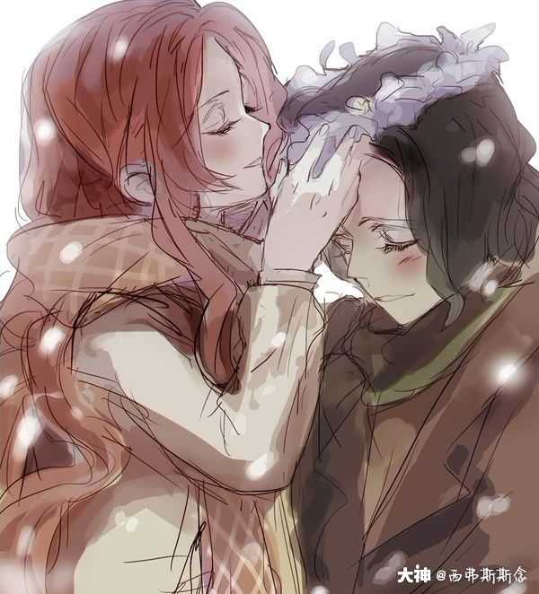 斯内普还没坐下享用,"哐当"一声门就开了,詹姆斯手提着一大包东西风风