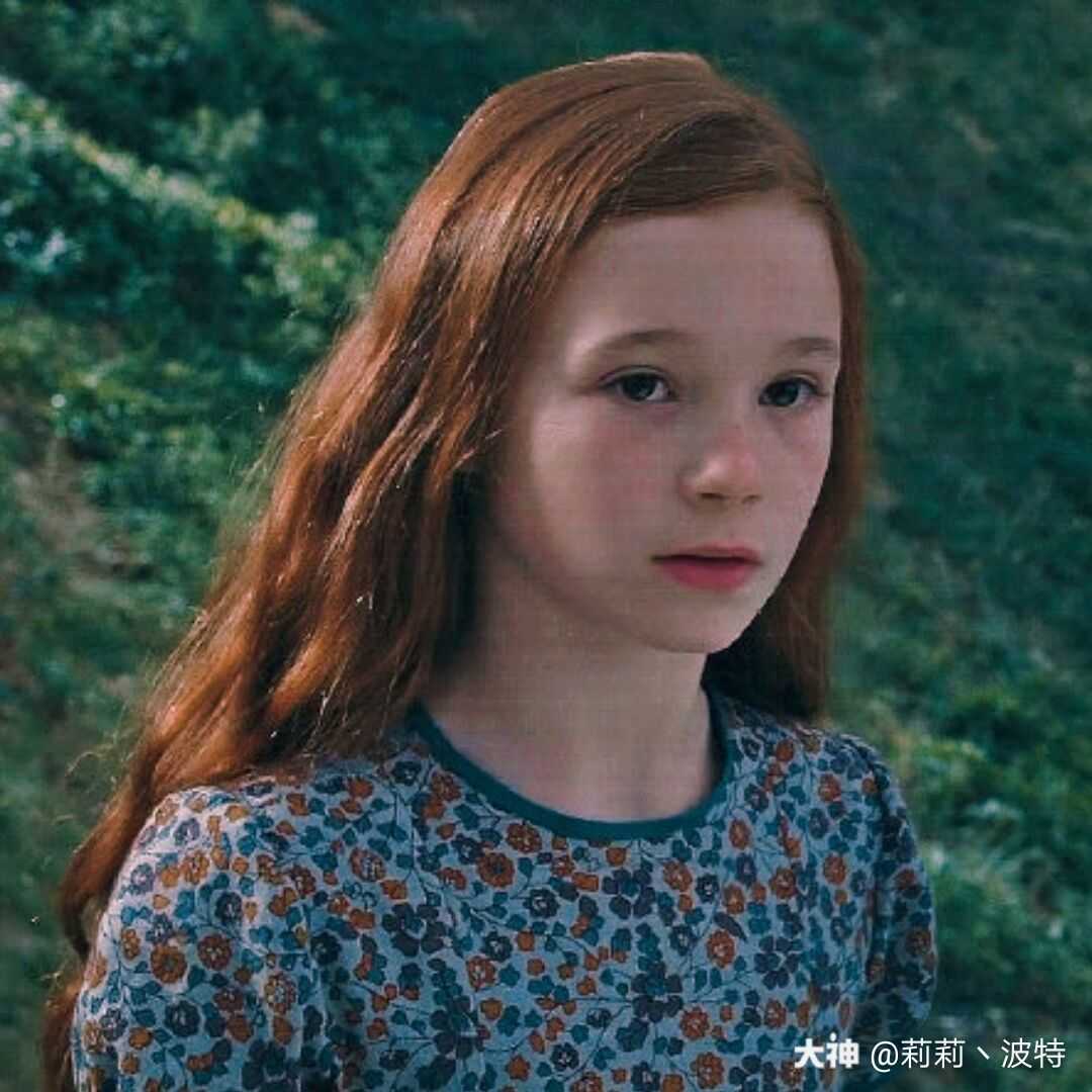 这些花语也可以暗示角色的某些特质,最典型的例子就是哈利的母亲莉莉