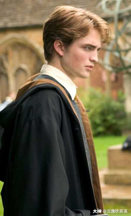塞德里克迪戈里cedricdiggory