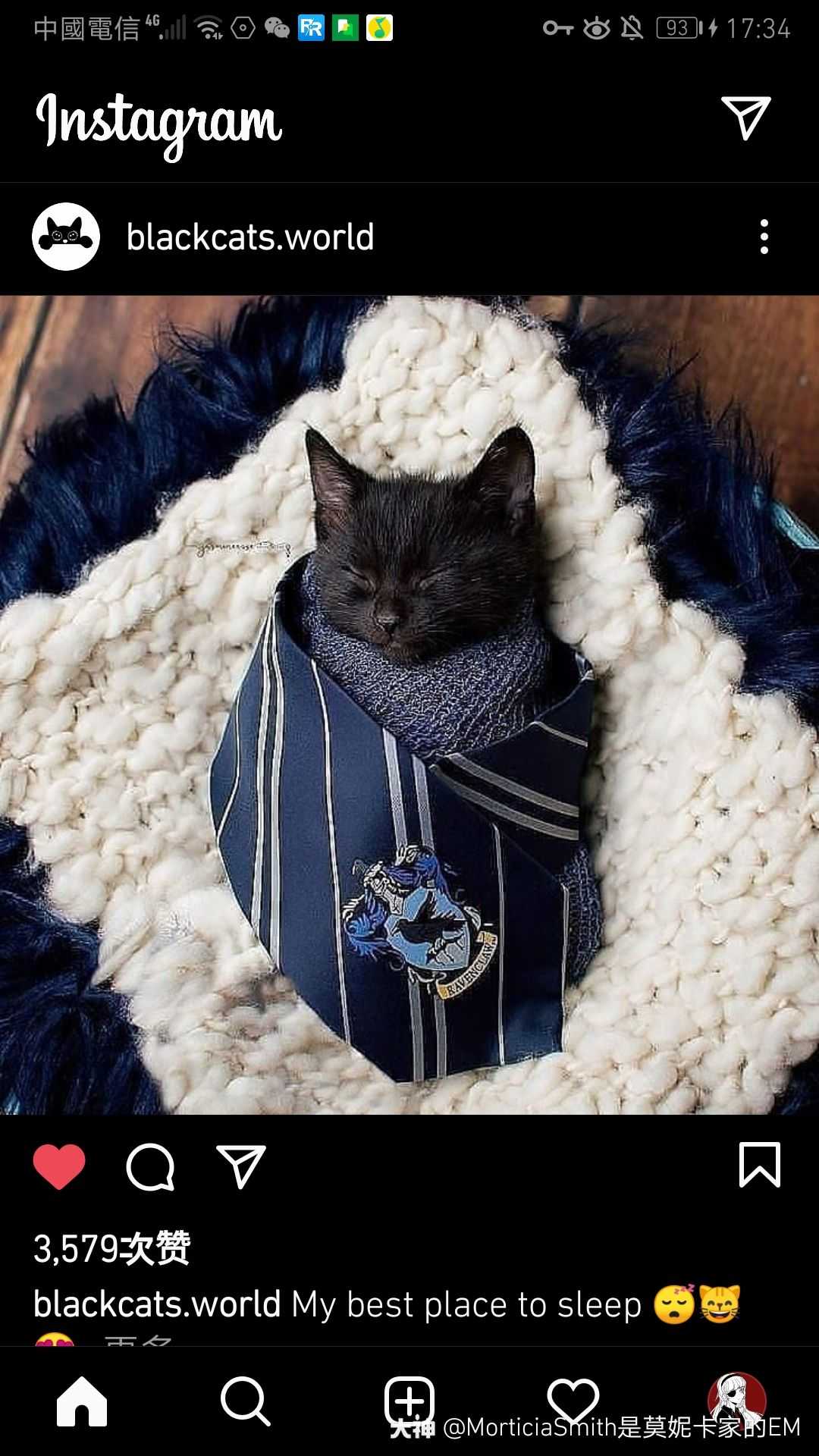 2021-04-22morticiasmith是莫妮卡家的em