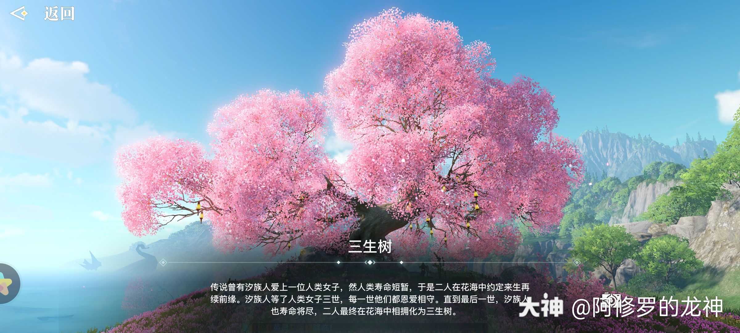 天谕夏至打卡_大神