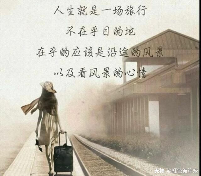 所有的离开都是蓄谋