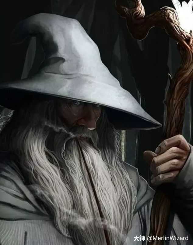 大家好,我是梅林!我是巧克力蛙上的巫师_哈利波特魔法觉醒 | 大神