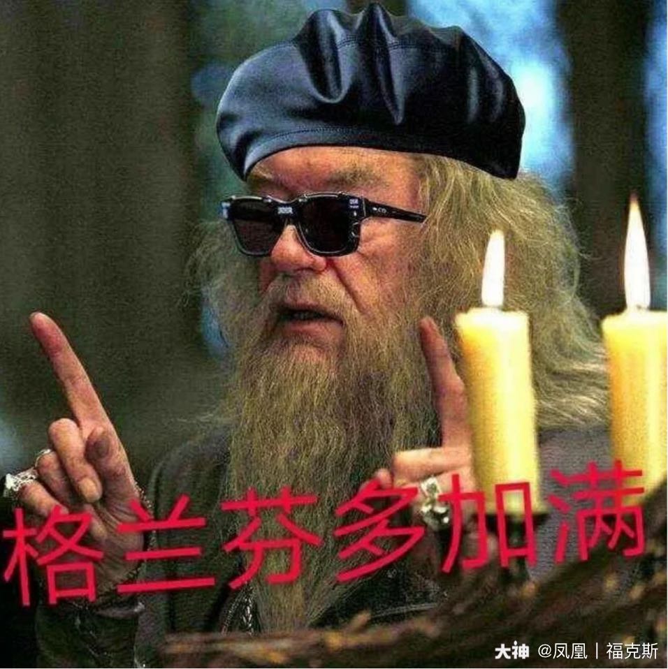 今天翻到了很久以前的表情包,发现已经有格兰芬多加满着一项了_哈利