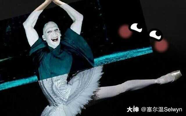 决定用这张图作为封面,并在接下来的火锅宴为众巫师献上劳德的芭蕾舞
