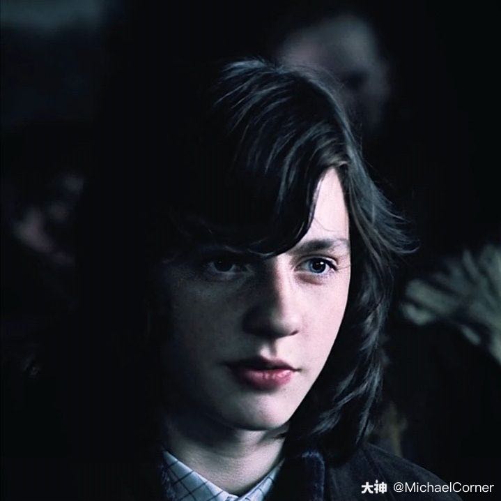 我——拉文克劳,哈利·波特同年级同学,邓布利多军成员,安东尼和泰瑞