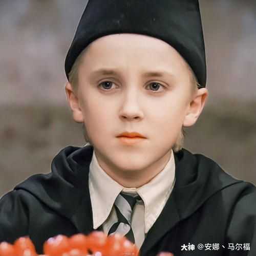 马尔福:你马上就会发现某些巫师家族比其家族高等_哈利波特魔法觉醒