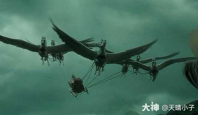 魔法觉醒试题征集 哈利波特四大学院 魔法知识与谜糖屋请问 大神 魔法觉醒试题征集 哈利波特四大学院 魔法知识与谜糖屋请问 大神