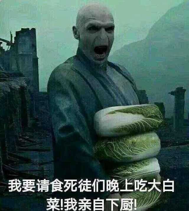 孤巢老人伏地魔 救命啊