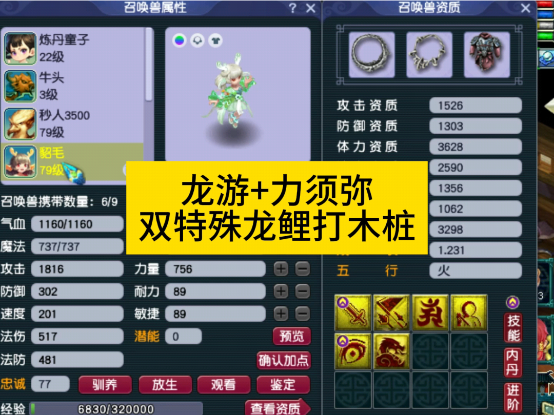 梦幻精彩时刻_梦幻西游 | 大神