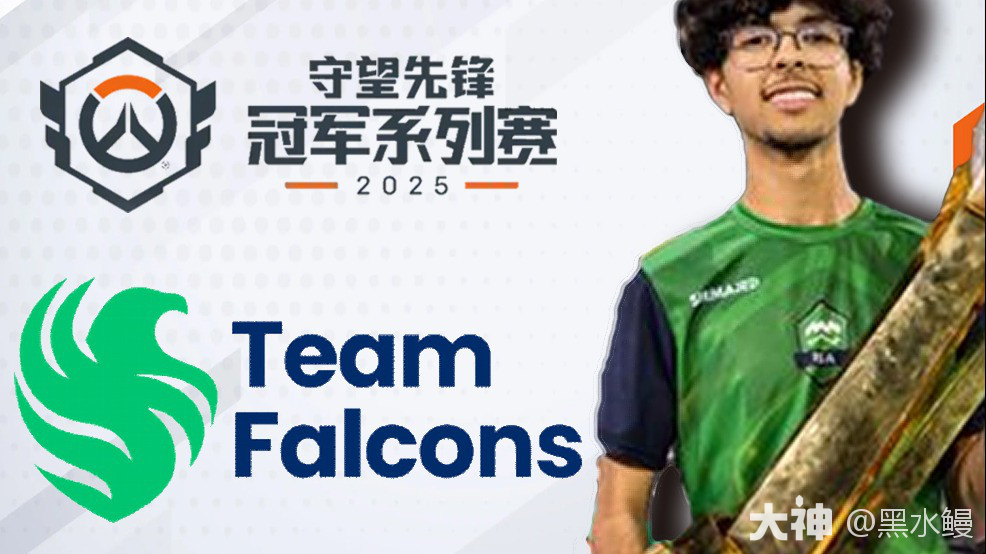 战队巡礼】金元风暴下的石油战队——Team Falcons_守望先锋 | 大神