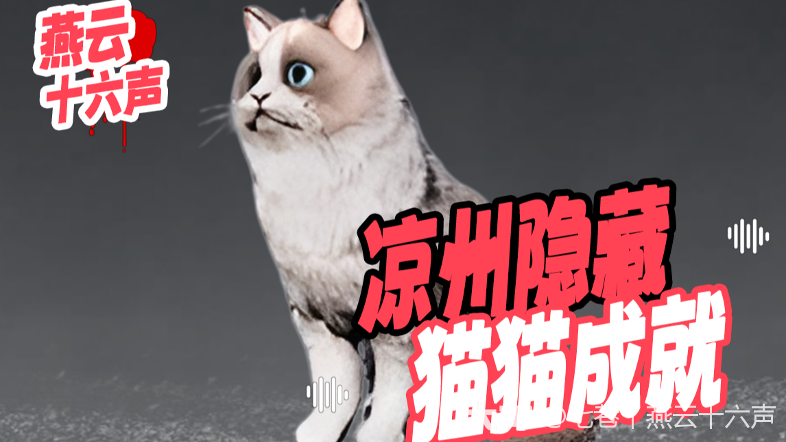 燕云十六声丨一次性完成全猫猫成就_燕云十六声 | 大神
