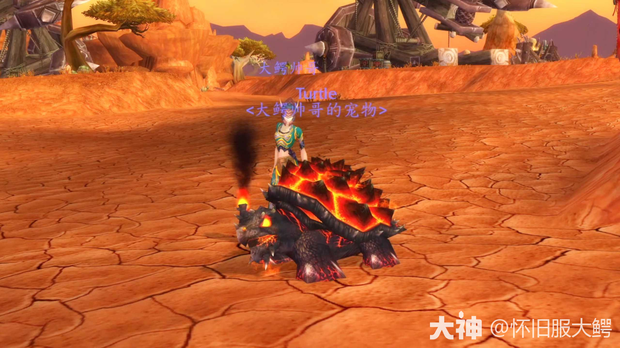 熊猫人极品猎人宝宝火龟泰罗佩内_魔兽世界 | 大神