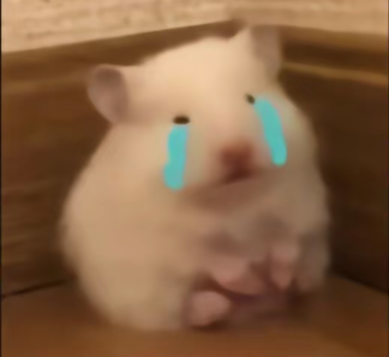 表情