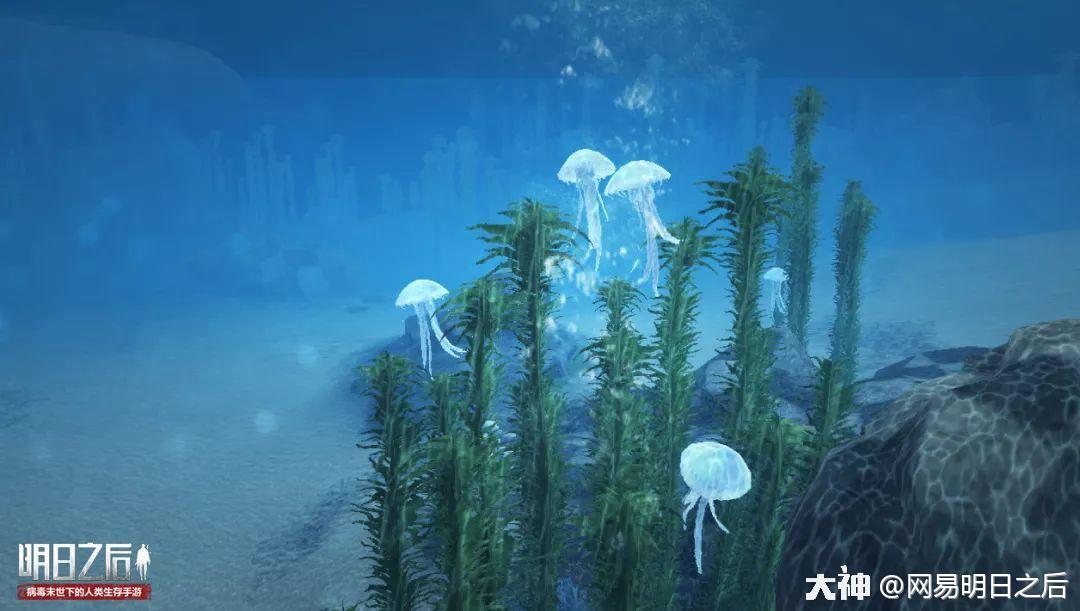 商队最新探索消息在汪洋中隐匿已久的圣托帕尼海岛被再次发现!