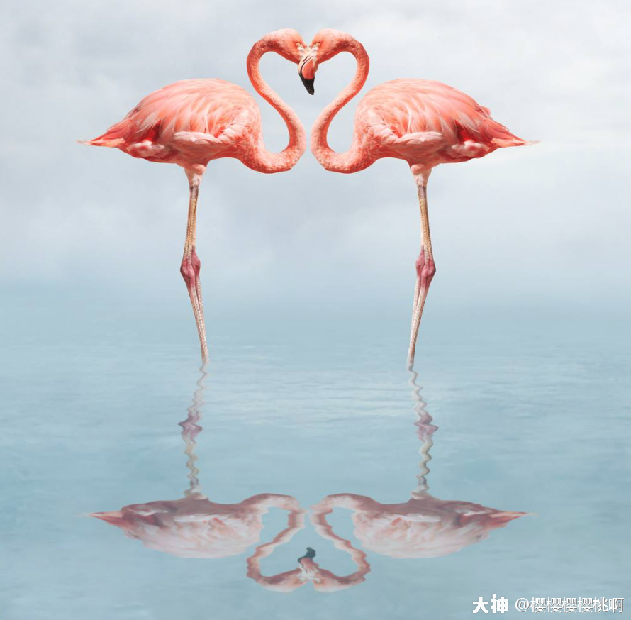 情人节特卖坐骑火烈鸟文艺清新ins风大长腿优雅从容很高冷