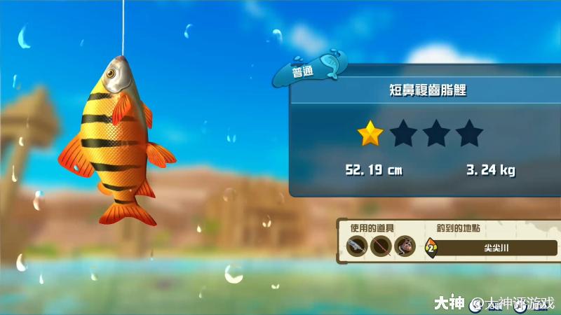 Switch 釣魚遊戲Fishing Star! World Tour, 電子遊戲, 電子遊戲