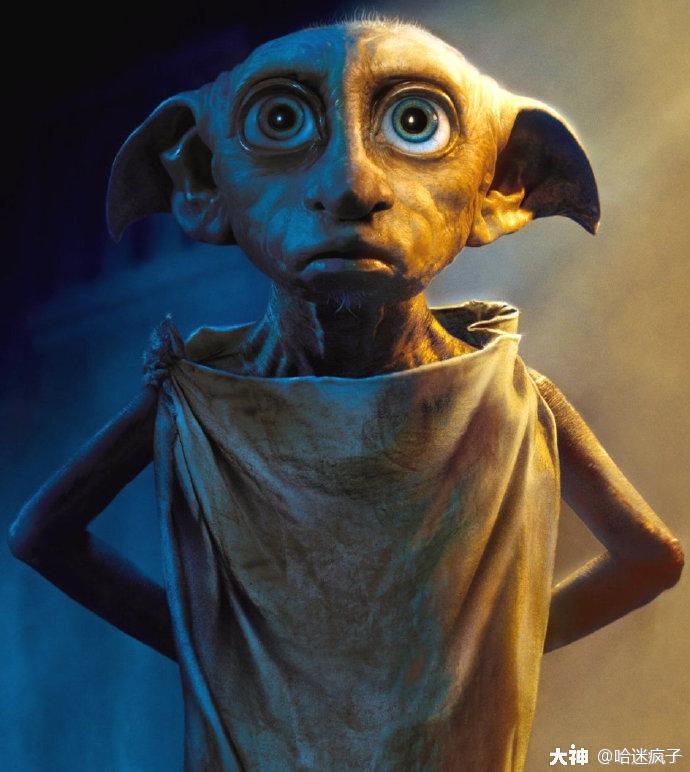 今天是家养小精灵多比的生日_大神