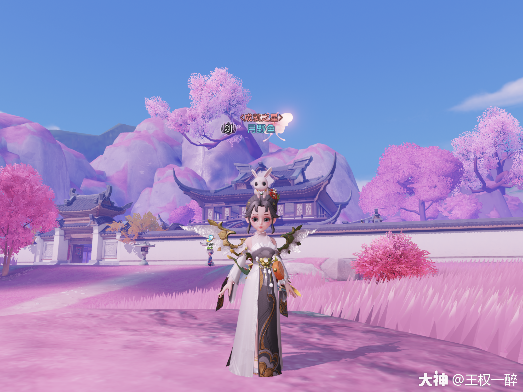 骨精灵十五套齐全锦衣穿搭配色_梦幻西游三维版 | 大神