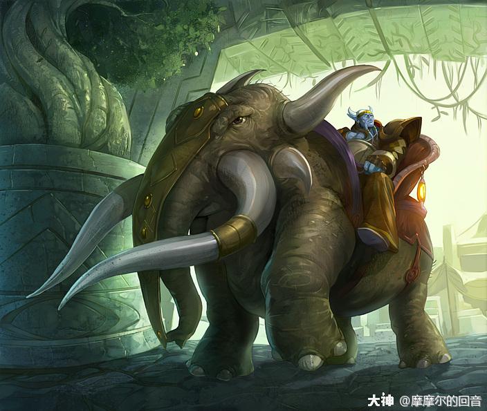 耐心与坚韧德莱尼最忠实的伙伴雷象