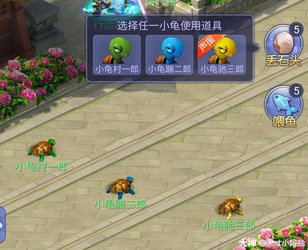 梦幻网页版攻略】趣味活动之小龟快跑玩法攻略_梦幻西游网页版 | 大神
