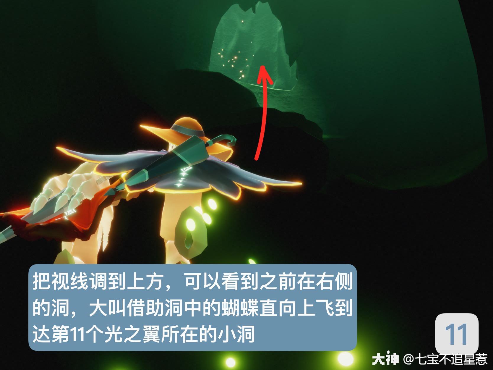 光翼位置大全之雨林篇