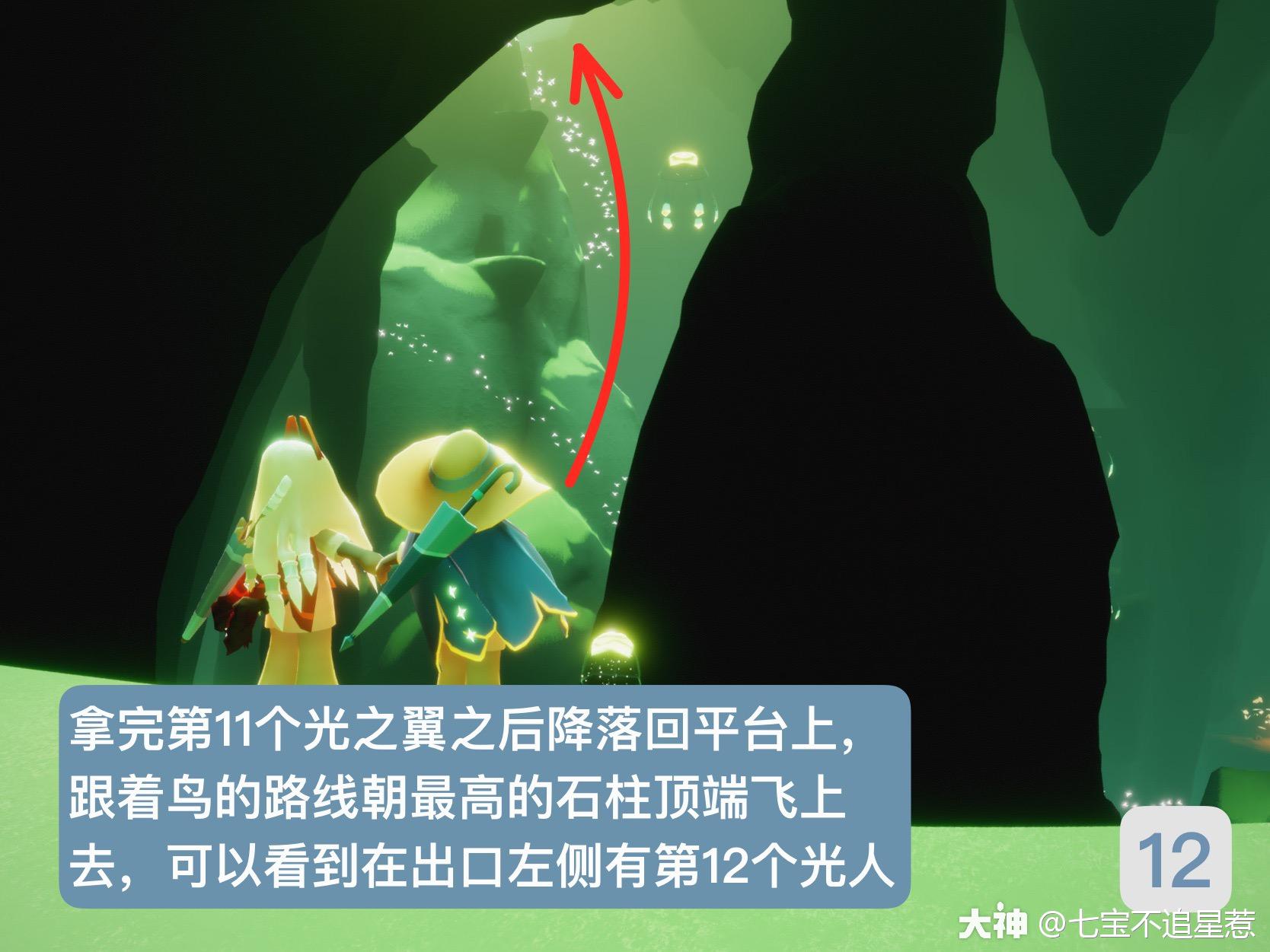 光翼位置大全之雨林篇