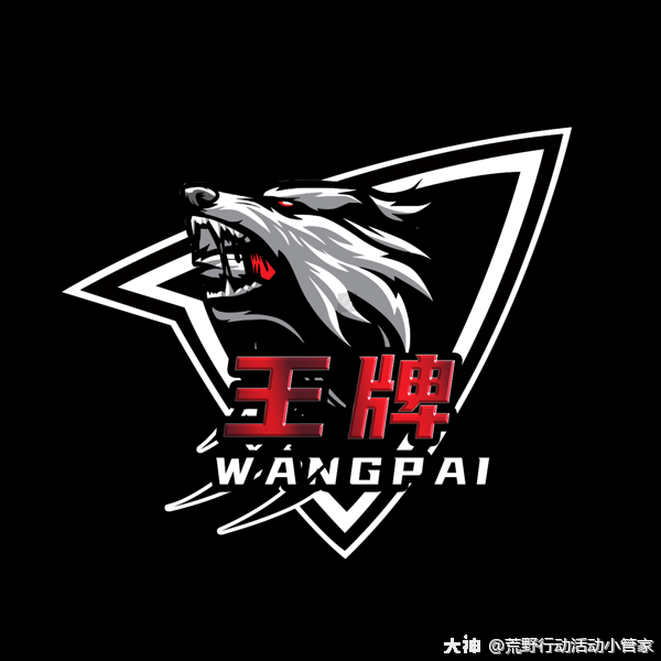 巅峰战队人气榜