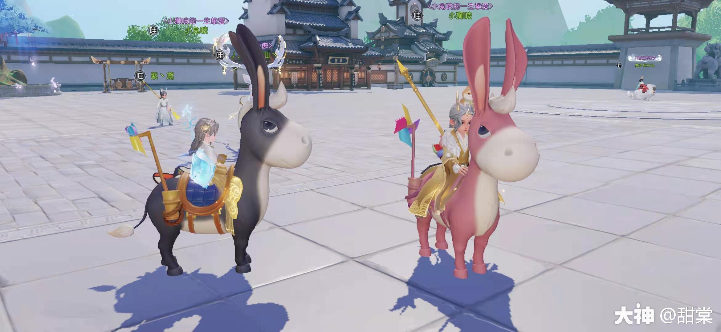 七彩小驴神行小驴丨确认过眼神是你不能错过的驴