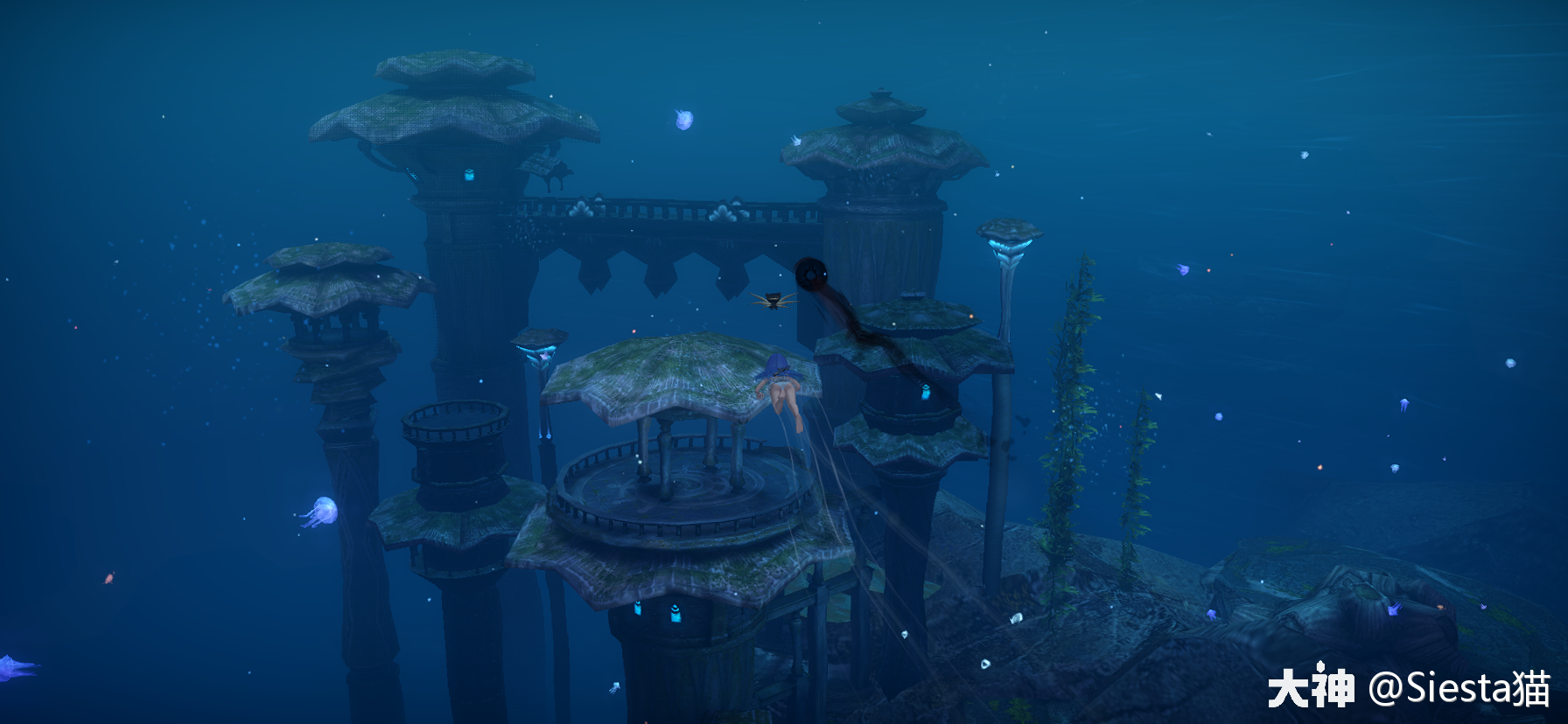 天谕景点攻略之汐愿之海萌新们给我看