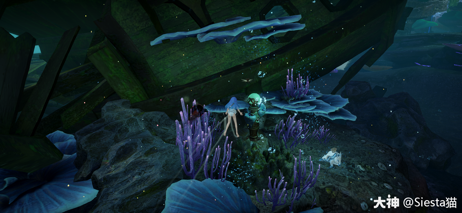 天谕景点攻略之汐愿之海萌新们给我看