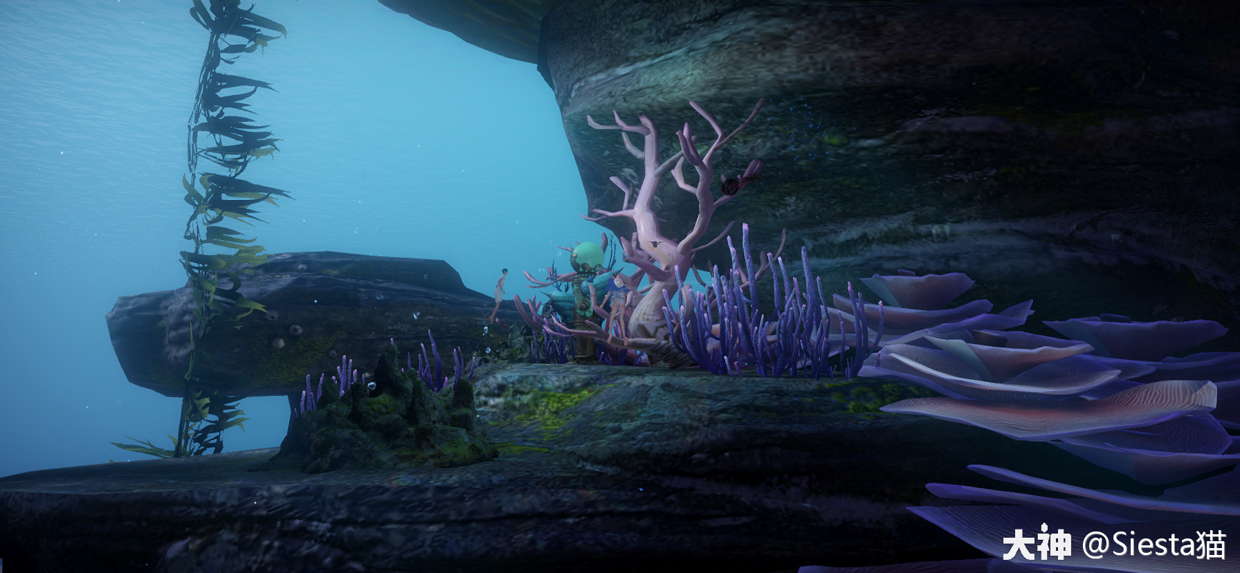 天谕景点攻略之汐愿之海【萌新们给我看!】