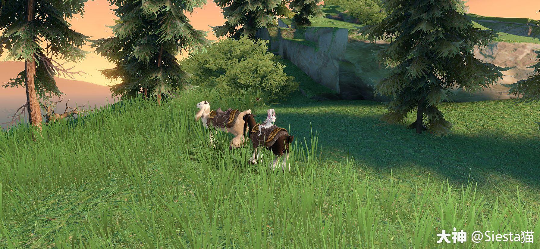 天谕冒险历程之狂暴驼兽陈年老咸鱼