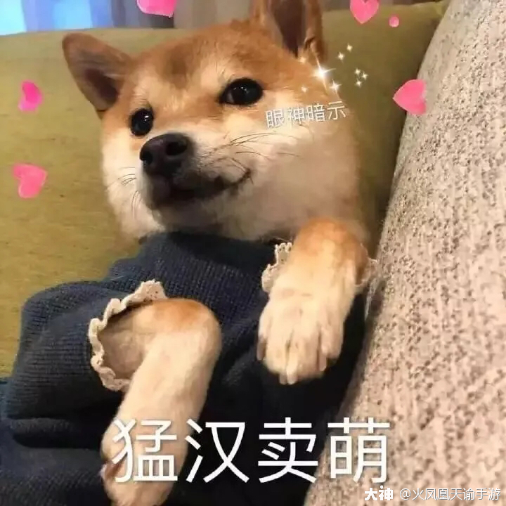 领地战预告江山如画