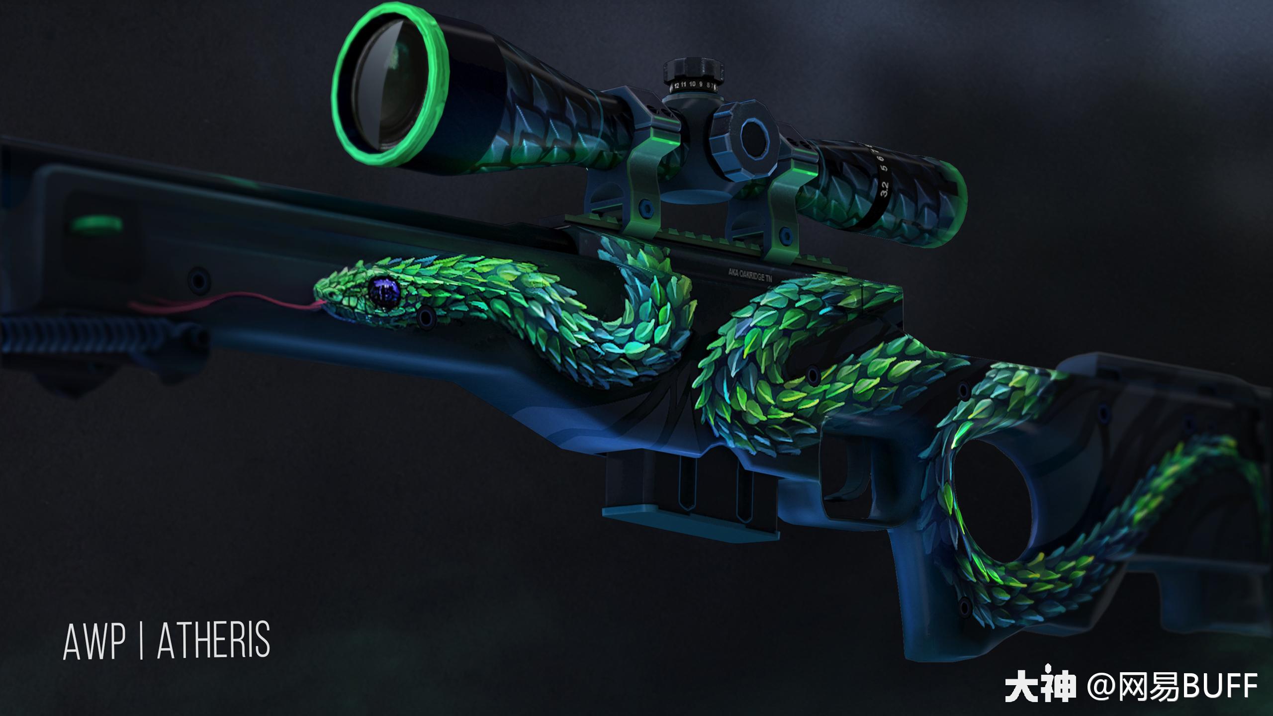 CSGO皮肤鉴赏：AWP | 树蝰_大神