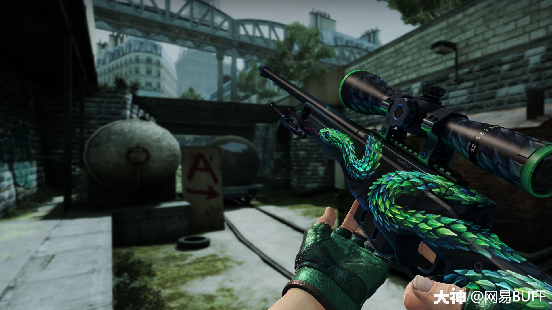 CSGO皮肤鉴赏：AWP | 树蝰_大神