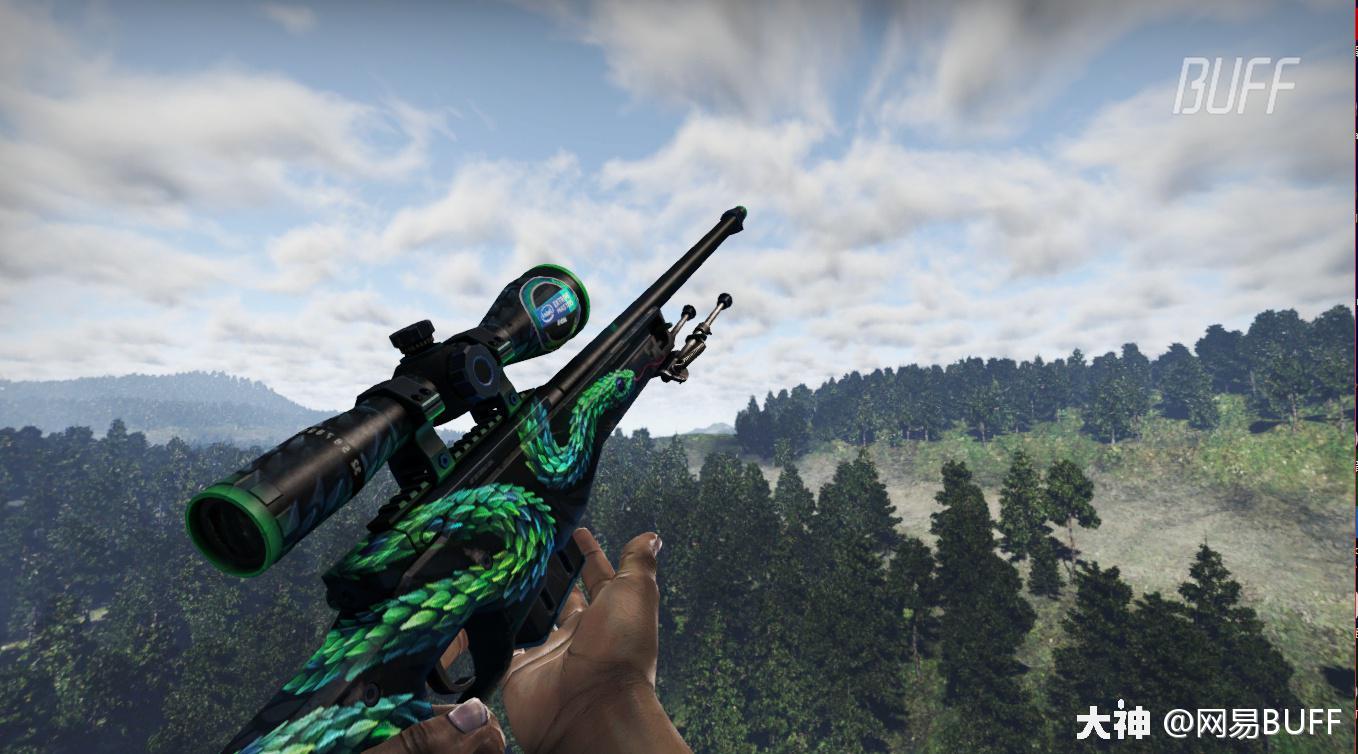 CSGO皮肤鉴赏：AWP | 树蝰_大神